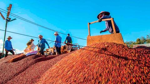 Đắk Lắk hoàn thiện việc sắp xếp tinh gọn tổ chức bộ máy hệ thống chính trị