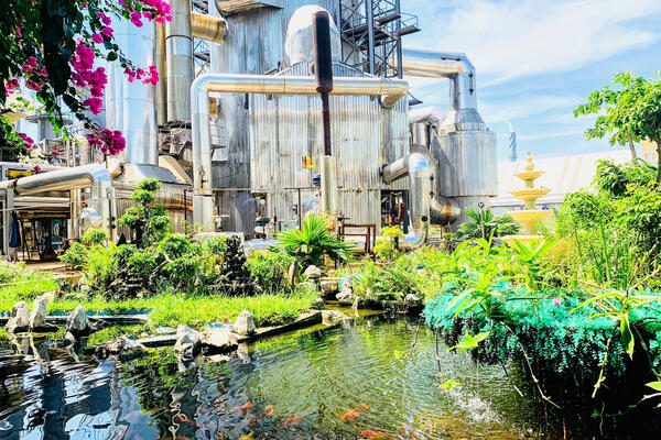 Kết quả và kinh nghiệm chuyển đổi xanh dưới sự lãnh đạo của Đảng bộ thành phố Hải Phòng