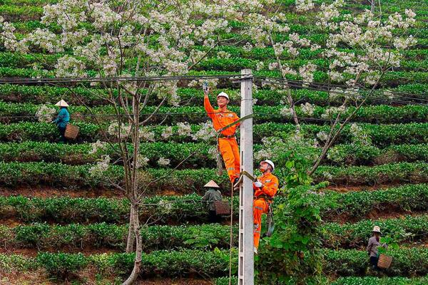 Trách nhiệm xã hội của doanh nghiệp tiếp cận theo lý thuyết phát triển bền vững trong bối cảnh thực hiện các hiệp định tự do thế hệ mới: Giải pháp cho Việt Nam